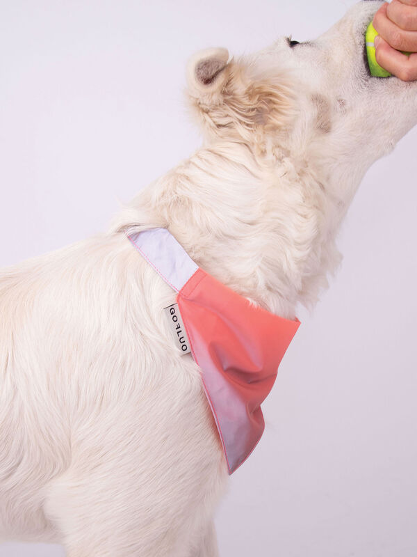 GOFLUO Reflective Dog Bandana